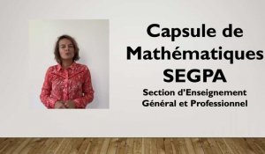 SEGPA - Cycle 4 | Maths | Calcul mental et numération