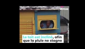 Cet artiste construit des abris pour SDF en déchets recyclés