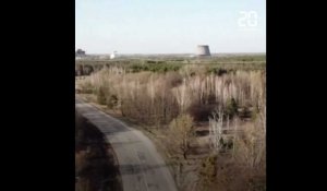 Tchernobyl : Un important feu de forêt a ravagé la zone d'exclusion