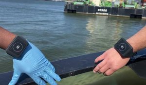Coronavirus: le port d'Anvers teste un bracelet intelligent, Rombit, qui régule la distanciation sociale