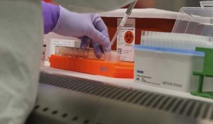 L'Union européenne tente d'endiguer l'épidémie de coronavirus