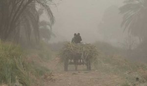 Égypte: une tempête de sable frappe la ville de Louxor