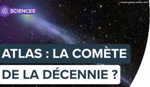 Atlas pourrait être la comète de l'année voire de la décennie ! | Futura