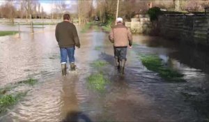 Inondations : Des éleveurs avec des vaches cernées par les eaux (Aire-sur-la-Lys)