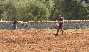 Covid-19, sécheresse... le dur printemps des agriculteurs italiens