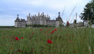 Les châteaux de la Loire rivalisent d'idées pour attirer