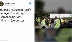 Toulouse. Nouveau blocage d'Amazon par des militants écologistes