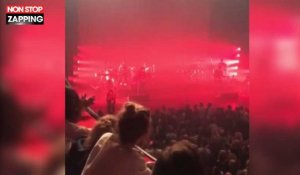 Vanessa Paradis en concert : Elle recadre un fan violent (vidéo)