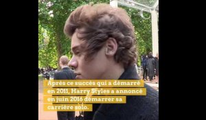 Alerte beau gosse : Harry Styles