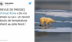 « On n'a jamais vu ça » : un record absolu de température atteint au pôle Nord