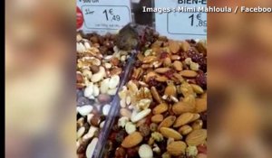 Saint-Maximin. Une souris se rafraîchit dans les fruits secs d'un magasin alimentaire