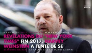 Harvey Weinstein : un enregistrement audio secret avec le New York Times dévoilé