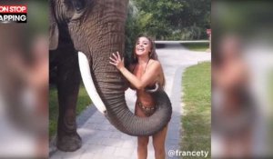 États-Unis : Un éléphant très coquin avec une fille en maillot de bain (Vidéo)