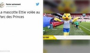 Coupe du monde féminine 2019 : Le costume de la mascotte Ettie a été dérobé au Parc des Princes