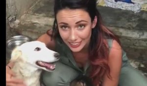 Delphine Wespiser : son émotion en venant en aide aux chiens abandonnés de l'île Maurice (vidéo) 