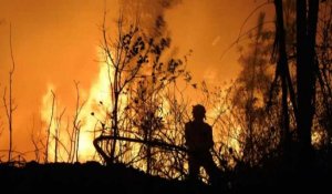 Portugal : plus de mille pompiers luttent contre des feux de forêt