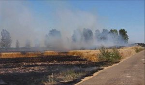 Feu de champ à Anneux : une vingtaine d'hectares partent en fumée