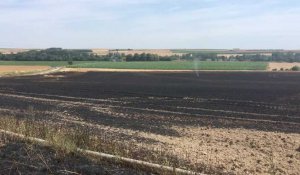 Seize hectares de blé partent en fumée près d'Albert