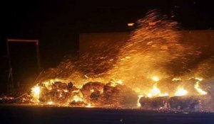 Sarah Michelle Gellar "bouleversée" par son évacuation lors des incendies en Californie