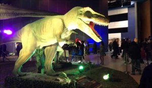 Le Monde des dinosaures investit le Kursaal à Dunkerque