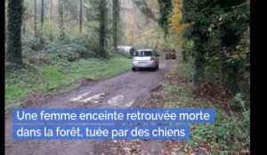 Aisne : Une femme enceinte retrouvée morte dans la forêt, tuée par des chiens