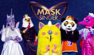 Mask Singer : Cauet dézingue le casting de l'émission