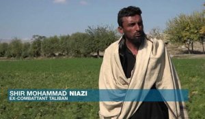 Afghanistan : amnistie pour les Taliban, quels résultats ?