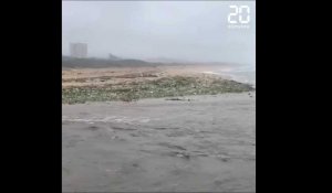 Des tonnes de plastiques s'échouent sur une plage d'Afrique du sud 