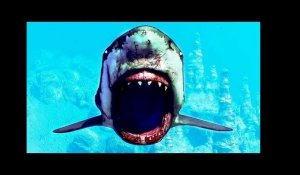 MANEATER Bande Annonce (2020) Jeu de Requin PS4 / PC
