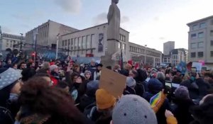 Les Sardines manifestent à Bruxelles 