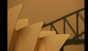 En Australie, Sydney face à « une urgence de santé publique » à cause des fumées toxiques