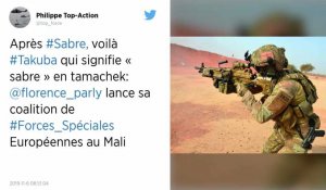 Mali : les Européens lâchent leurs forces spéciales aux trousses des djihadistes