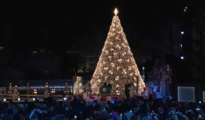 Donald et Melania Trump à la cérémonie d'illumination du sapin de Noël national