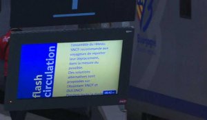 2e jour de grève dans les transports: réactions d'usagers gare de Lyon à Paris