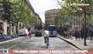 Le 18:18 - Pins, micocouliers, chênes... Ces 1700 arbres qui seront bientôt plantés dans l'hyper-centre de Marseille