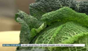 Les légumes de saison en Hauts-de-France