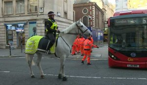 Attaque à l'arme blanche à Londres: important dispositif policier déployé sur place
