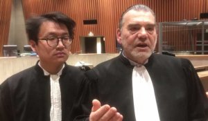 Affaire Vitaleco à Lille : le tribunal correctionnel annule un dossier comptant de 900 plaintes, les explications de l'avocat Frank Berton