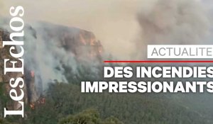 En Australie, l'équivalent de la Belgique détruit par des incendies