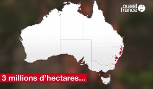 Incendies en Australie : trois millions d'hectares partis en fumée, ça représente quoi ?