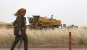 Des femmes kurdes garde les champs de blé face à la menace jihadiste