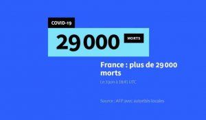 Covid-19: plus de 29.000 morts en France