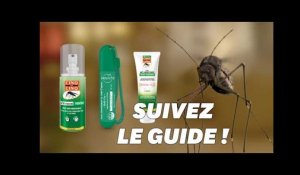 Quel type d'anti-moustiques choisir entre la crème, le roller et le spray?