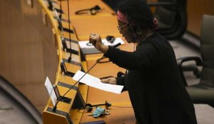 Eurodéputée victime de racisme : "On veut une police plus humaine"