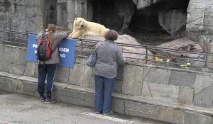Déconfinement au Danemark : le zoo de Copenhague rouvre ses portes