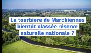 La tourbière de Marchiennes devrait être classée réserve naturelle nationale en 2022