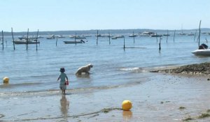 Vague de chaleur: au Cap Ferret, se rafraîchir dans le bassin d'Arcachon