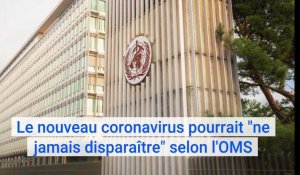 Covid-19 : le nouveau coronavirus pourrait "ne jamais disparaître" selon l'OMS