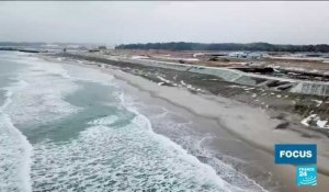 "La grande muraille du Japon" : le projet anti-tsunami qui divise