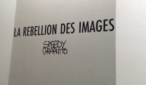 L'expo de Speedy Graphito rouvre au centre Arc en Ciel de Liévin